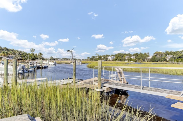 dock area with a water view