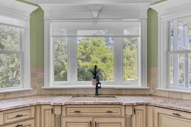 room details with crown molding and sink