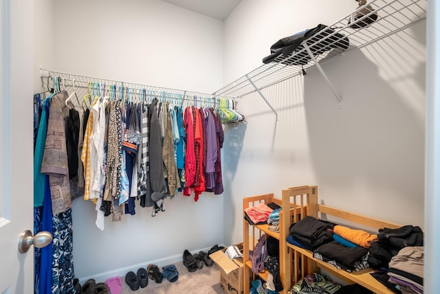 spacious closet featuring carpet flooring