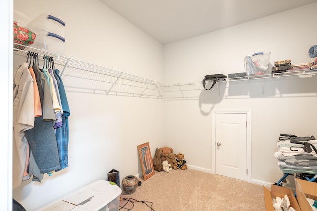 walk in closet featuring carpet floors