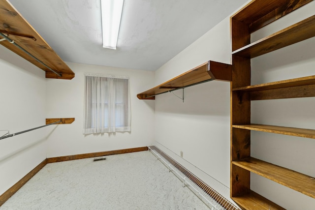 walk in closet featuring carpet floors