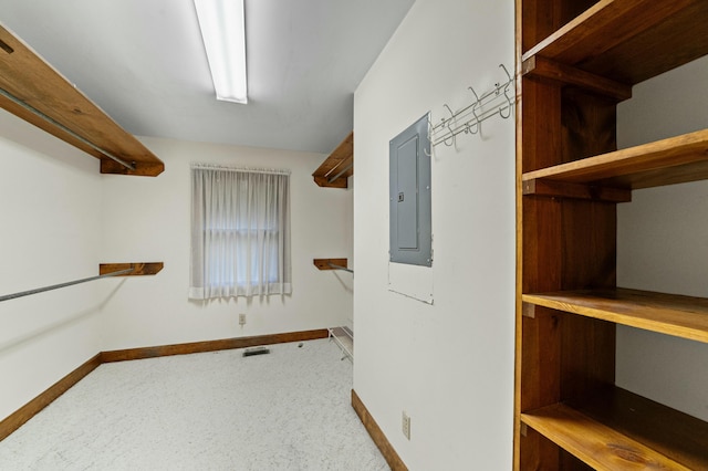 spacious closet with electric panel and carpet floors