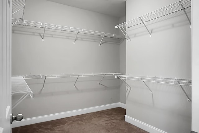 walk in closet featuring carpet flooring