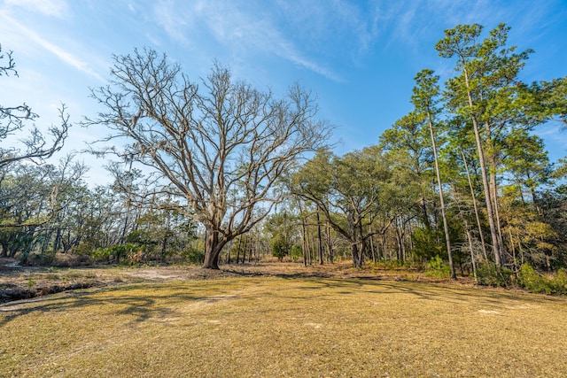 Listing photo 2 for 0 Whooping Island Creek Dr, Edisto Island SC 29438