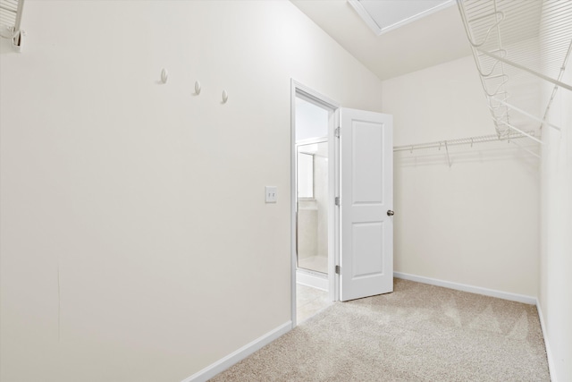 walk in closet featuring light carpet