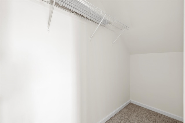 spacious closet featuring lofted ceiling and light colored carpet