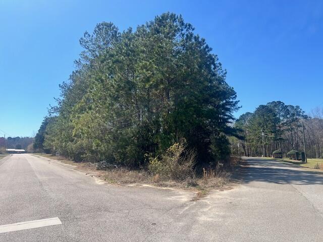 0 Kirkland, Orangeburg, SC 29118