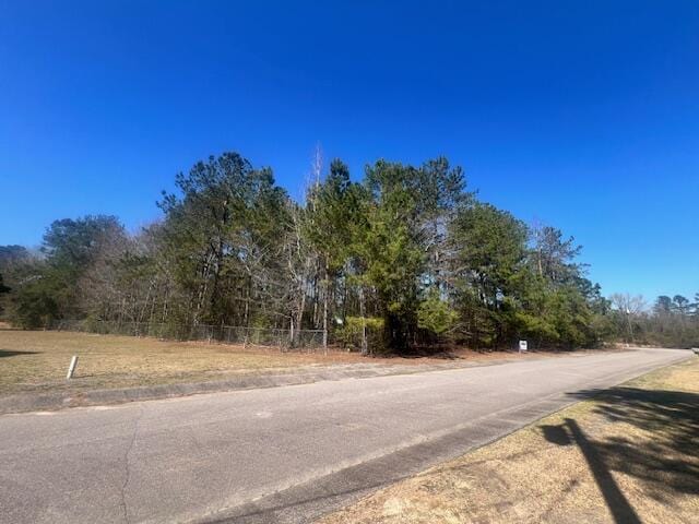 0 Kirkland, Orangeburg, SC 29118