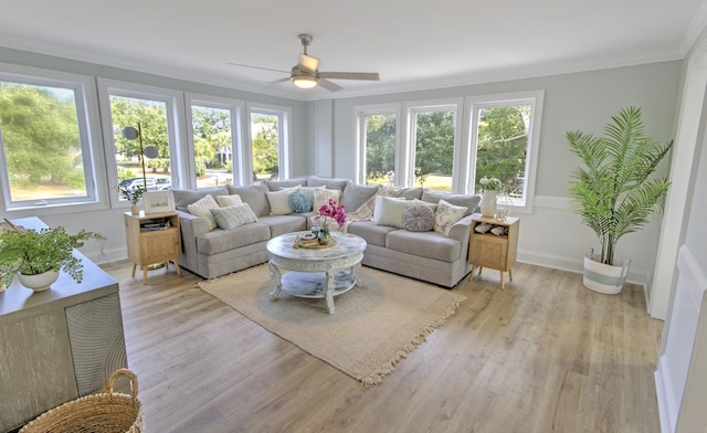 living room with ceiling fan, crown molding, and light hardwood / wood-style floors