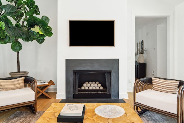 living room featuring hardwood / wood-style floors