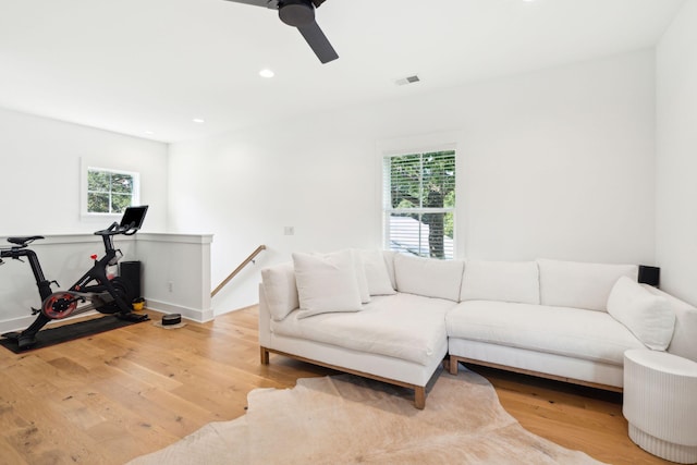 living room with ceiling fan and light wood-type flooring