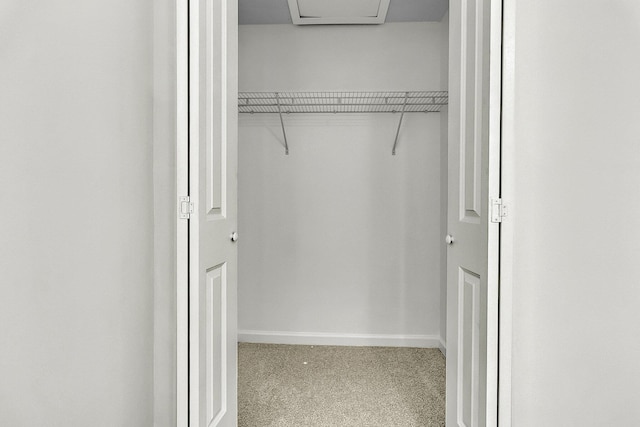 view of closet