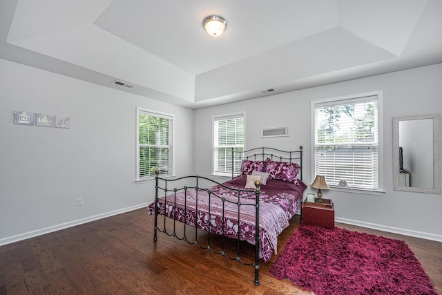 5442 Clearview Dr, North Charleston, SC 29420 - bedroom with a tray ceiling, wood finished floors, multiple windows, and baseboards