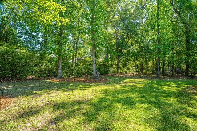 5442 Clearview Dr, North Charleston, SC 29420 - view of grassy yard