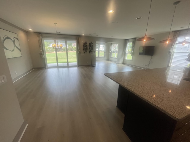 118 Magnolia House Dr, Summerville, SC 29486 - unfurnished dining area featuring plenty of natural light, baseboards, wood finished floors, a chandelier, and recessed lighting