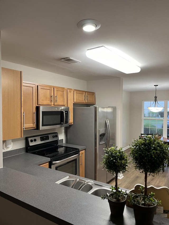 kitchen with hanging light fixtures, appliances with stainless steel finishes, sink, and hardwood / wood-style floors