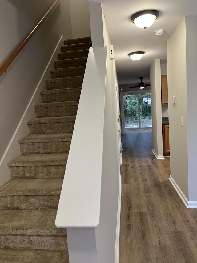 stairway with wood-type flooring