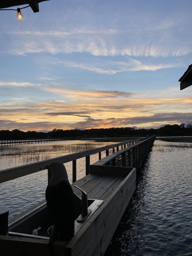 dock area featuring a water view