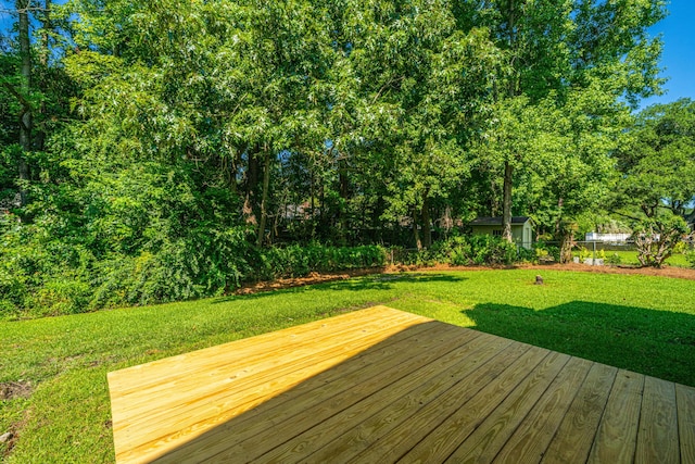2847 Limestone Blvd, Charleston, SC 29414 - deck featuring a lawn