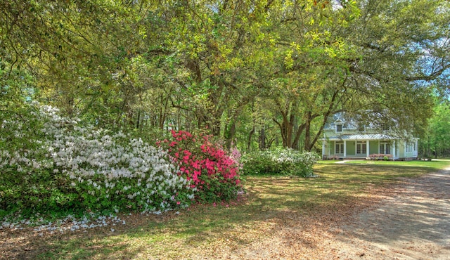 view of yard with covered porch