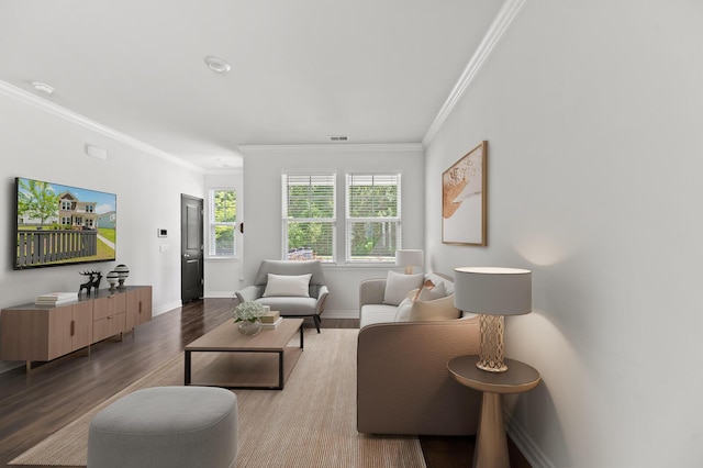 living area featuring crown molding, wood finished floors, and baseboards