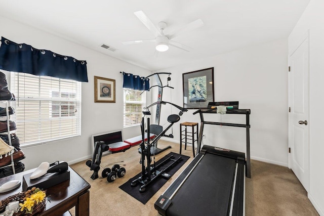 workout room with baseboards, carpet, visible vents, and a ceiling fan
