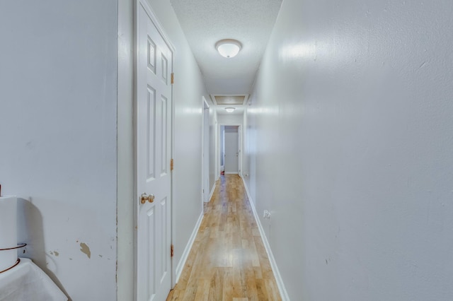 corridor featuring a textured ceiling and light wood-type flooring