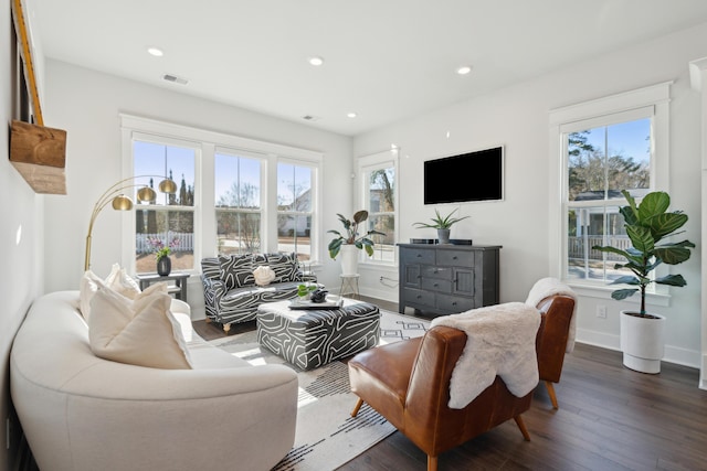 living room with dark hardwood / wood-style floors and a wealth of natural light