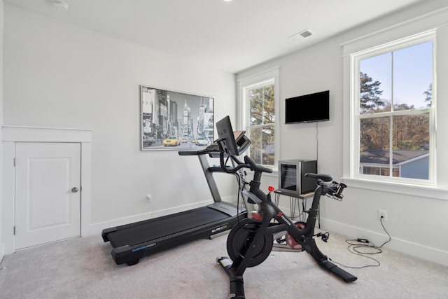 exercise area featuring carpet