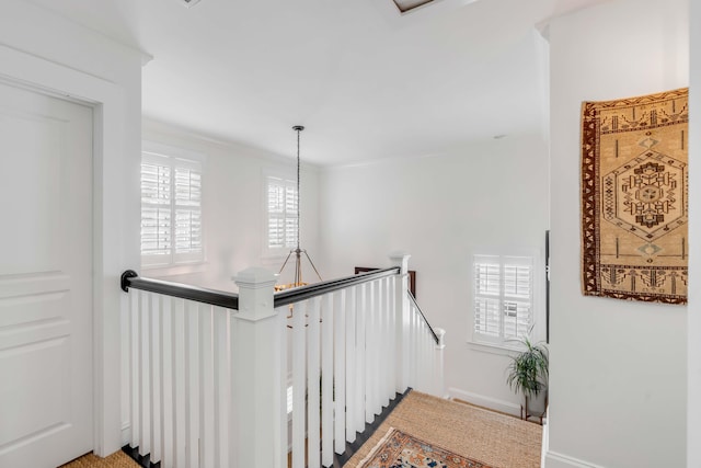 hall with carpet and a wealth of natural light