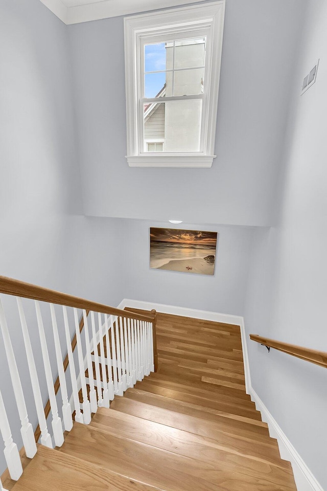 staircase featuring wood-type flooring