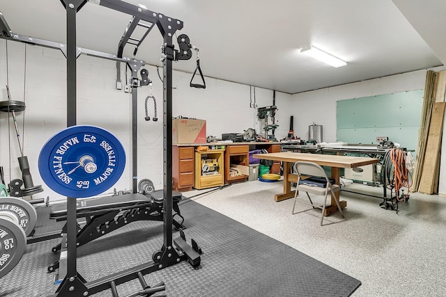 workout area featuring a workshop area