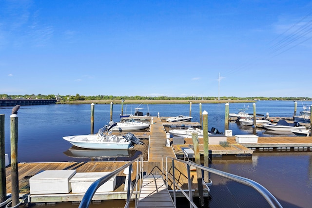 dock area with a water view