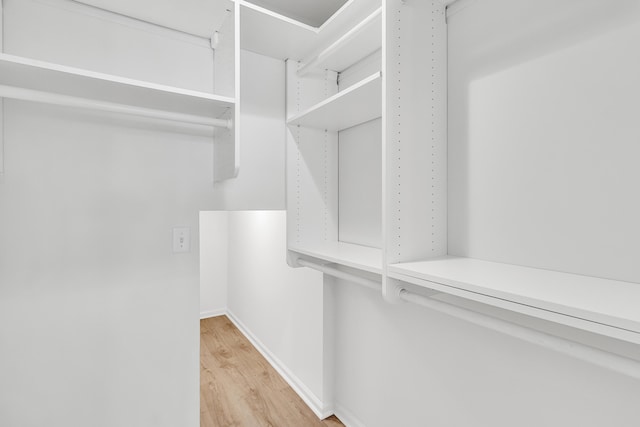 4823 Shady Tree Ln, Summerville, SC 29485 - spacious closet featuring light wood-style flooring