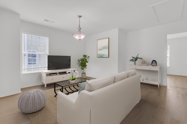 4823 Shady Tree Ln, Summerville, SC 29485 - living area with wood finished floors, baseboards, and attic access