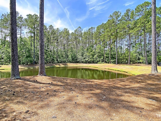 4823 Shady Tree Ln, Summerville, SC 29485 - water view