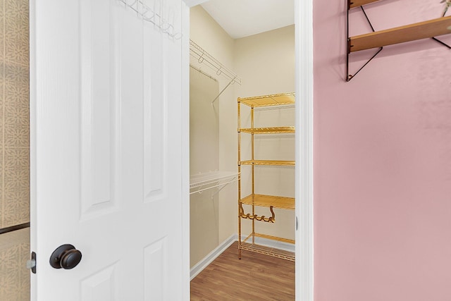 spacious closet with wood finished floors