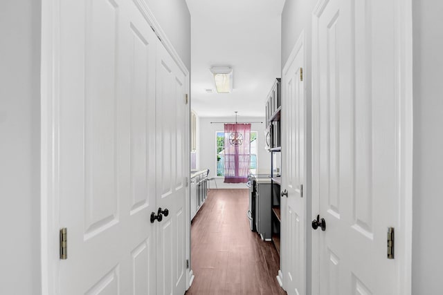 corridor featuring dark wood-style floors
