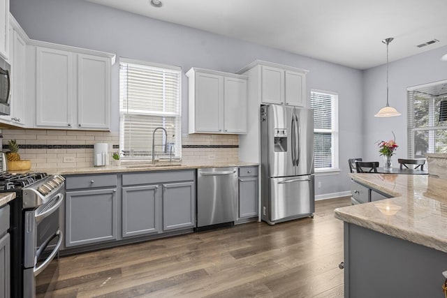 185 Red Leaf Blvd, Moncks Corner, SC 29461 - kitchen featuring stainless steel appliances, a sink, gray cabinetry, dark wood-type flooring, and light stone countertops