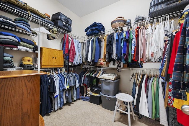 185 Red Leaf Blvd, Moncks Corner, SC 29461 - walk in closet featuring carpet floors
