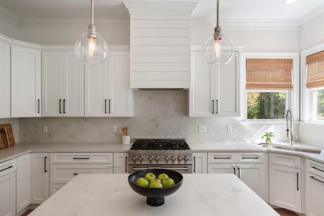 kitchen featuring a sink, custom range hood, high end stainless steel range, decorative backsplash, and white cabinets