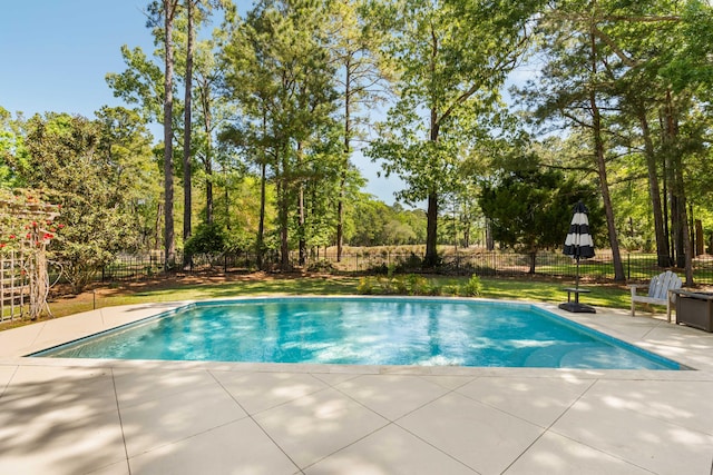 view of swimming pool featuring a patio, a fenced backyard, and a fenced in pool