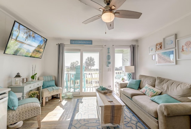 living room with ceiling fan, light wood finished floors, and crown molding