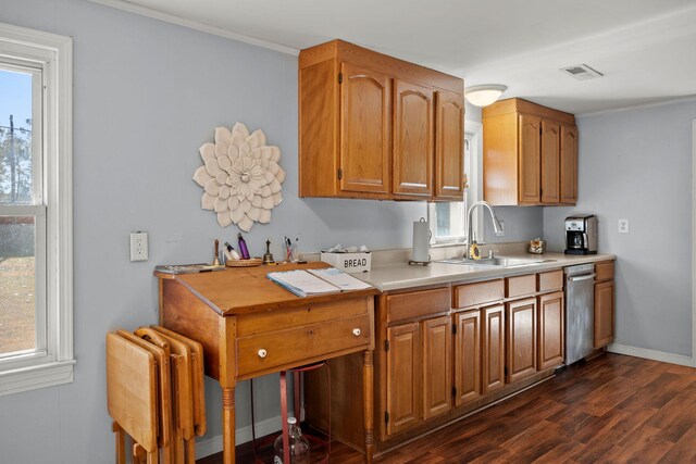 kitchen featuring radiator heating unit, dark hardwood / wood-style flooring, plenty of natural light, and sink