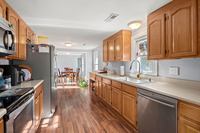 kitchen featuring appliances with stainless steel finishes, dark hardwood / wood-style floors, and sink