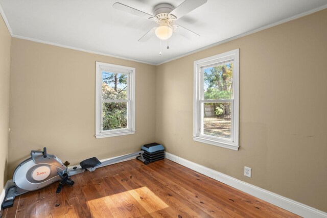 workout area with hardwood / wood-style flooring, plenty of natural light, ceiling fan, and ornamental molding