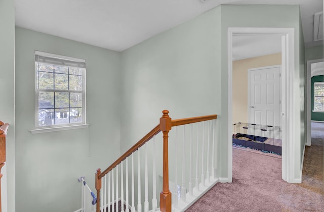 1600 Windsor Ln, Moncks Corner, SC 29461 - stairs with carpet, plenty of natural light, and baseboards
