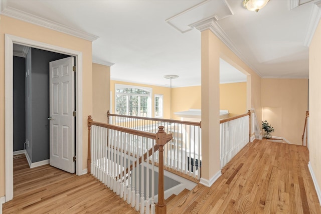 hall with crown molding and light hardwood / wood-style flooring