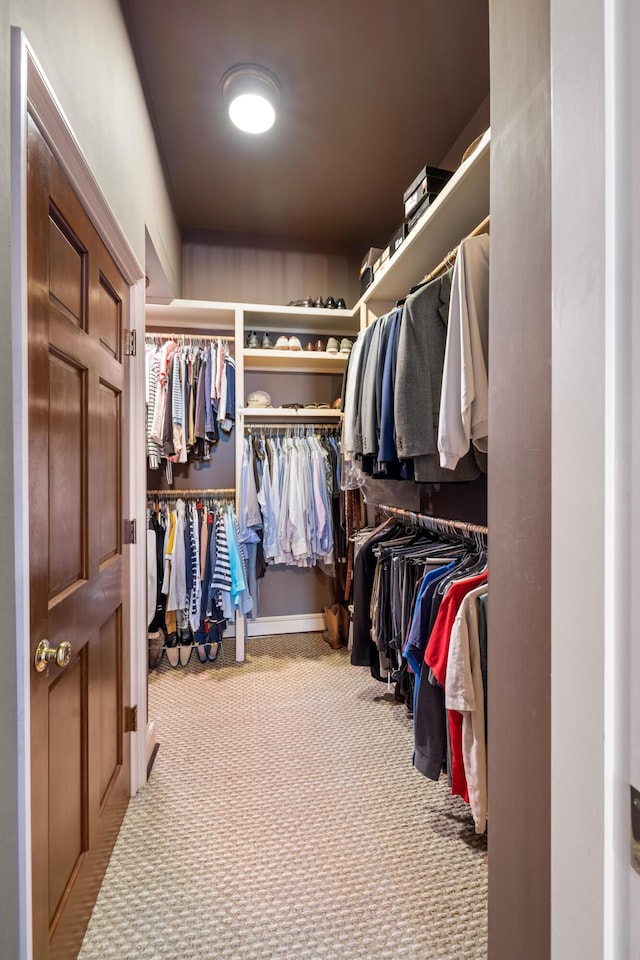 spacious closet with light colored carpet