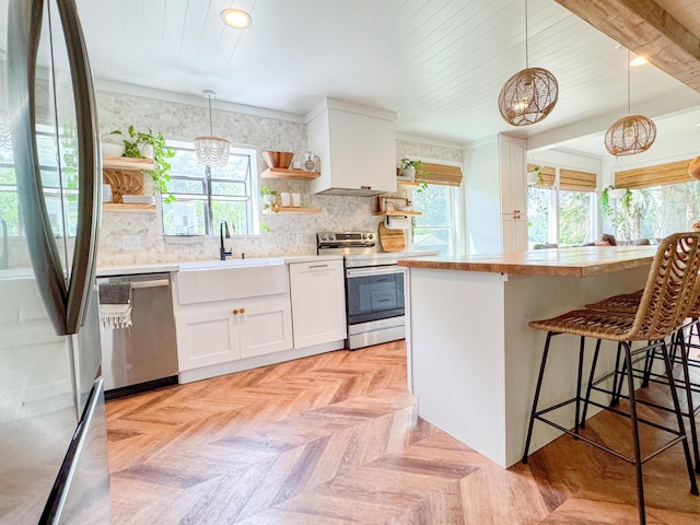 27 Fitzroy Dr, Charleston, SC 29414 - kitchen featuring open shelves, stainless steel appliances, a sink, and plenty of natural light